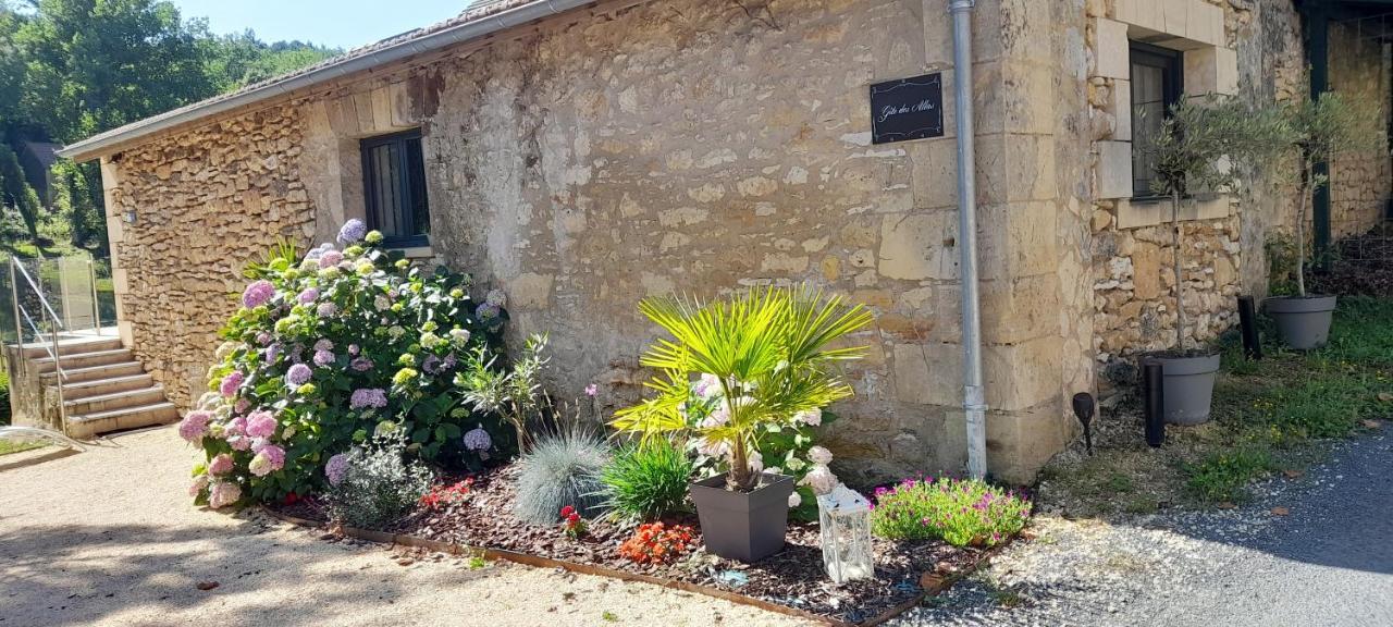 Gîte des Allas Campagne  Extérieur photo